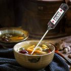 Digitális Maghőmérő tűvédővel